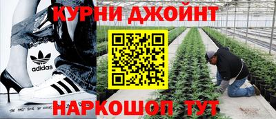 герыч Бердск
